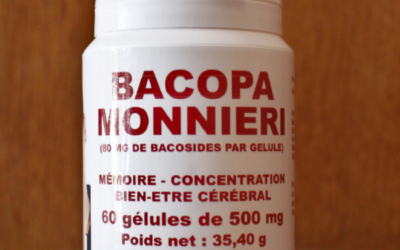 Bacopa monnieri : mémoire, concentration et ce que disent les études