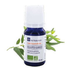 Eucalyptus globulus - 10 ml - AD naturam