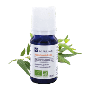 Eucalyptus globulus - 10 ml - AD naturam