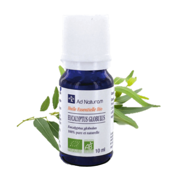 Eucalyptus globulus - 10 ml - AD naturam