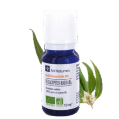 Eucalyptus radiata - 10 ml - AD naturam