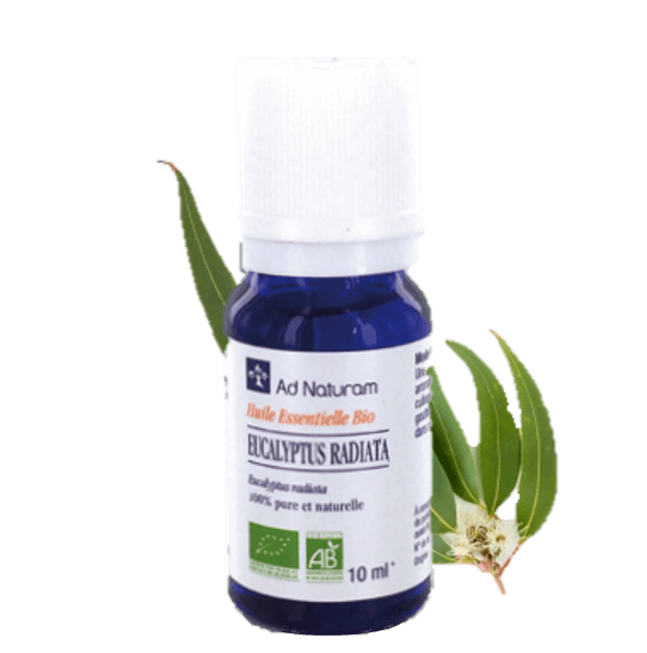 Eucalyptus radiata - 10 ml - AD naturam