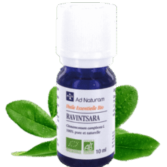 Huile essentielle de Ravintsara - 10 et 30 ml - AD Naturam