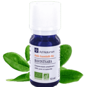 Huile essentielle de Ravintsara - 10 et 30 ml - AD Naturam