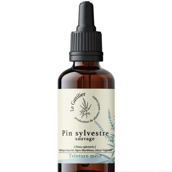 Aiguilles de pin sylvestre - 100 ml - Le Gattilier