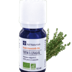 Thym à linalol - 5 ml - Ad Naturam - Les huiles essentielles