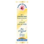 Fleur de Bach Chestnut bud - Bourgeon de marronnier - 20 ml - Biofloral
