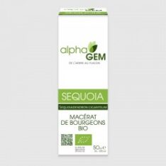 Macérât de bourgeons de Sequoia - 50 ml - Alphagem - Hormones masculines - Les bourgeons - Prostate - Vessie