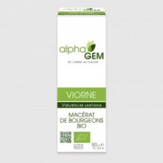 Viorne - 50 ml - Alphagem - Les bourgeons