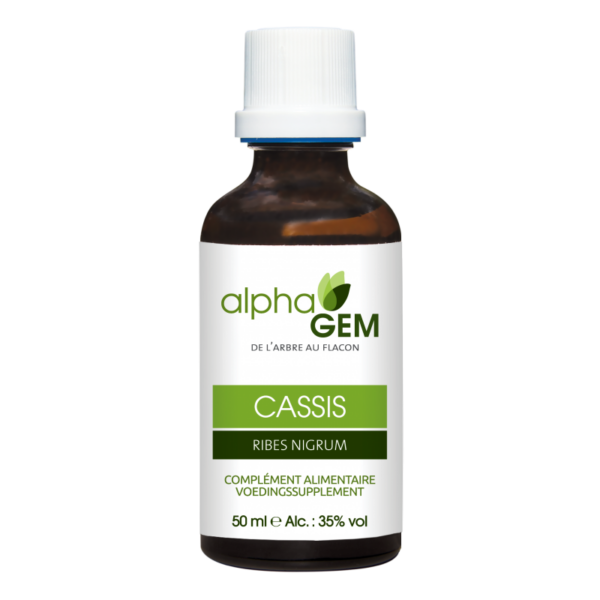 Macérât de bourgeon de cassis - Alphagem - 50ml - Les bourgeons - Muscles et tendons - Articulations