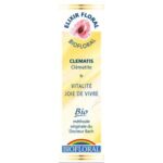 Fleur de Bach Clematis - Clématite - 20 ml - Biofloral