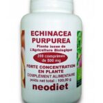 Echinacea purpurea - 200 gélules - Néodiet