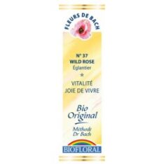 Fleur de Bach Wild rose - Eglantier - 20 ml - Bioforal