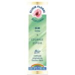 Fleur de Bach N°11 - Elm - Orme - 20 ml - Biofloral