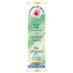 Fleur de Bach - Pine - Pin sylvestre - 20 ml - Biofloral