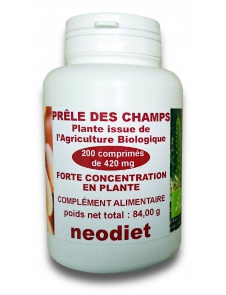 Prêle des champs
