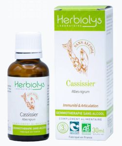 Bourgeon de cassis sans alcool - 30 ml - Herbiolys - Articulations