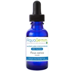 Figuier - Bourgeon sans alcool - 50ml - Aquagemm - Digestion - estomac - Stress