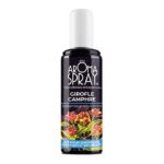 Girofle-Camphre - 100ml - Aromaspray