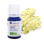 Huile essentielle de cajeput - Ad naturam - 10ml - O.R.L.