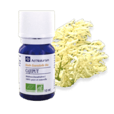 Huile essentielle de cajeput - Ad naturam - 10ml - O.R.L.