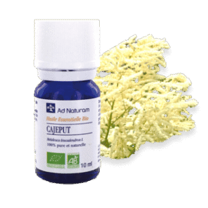 Huile essentielle de cajeput - Ad naturam - 10ml - O.R.L.