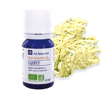 Huile essentielle de cajeput - Ad naturam - 10ml - O.R.L.
