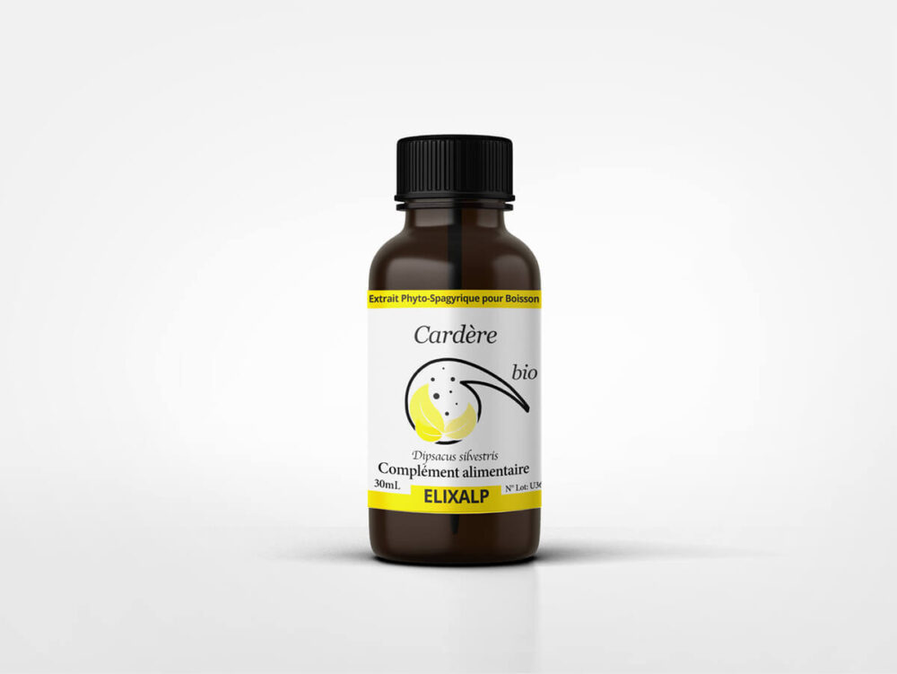 Cardère bio - Elixir spagyrique - 30 ml - Elixalp