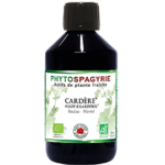 Cardère bio - 300ml - Vecteur energy - Foie