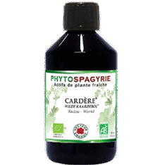 Cardère bio - 300ml - Vecteur energy - Foie