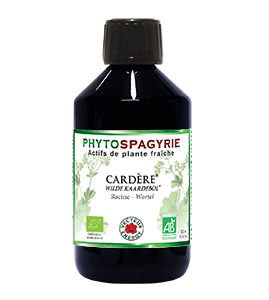 Cardère bio - 300ml - Vecteur energy - Foie