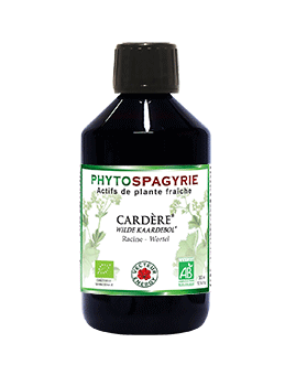 Cardère bio - 300ml - Vecteur energy - Foie