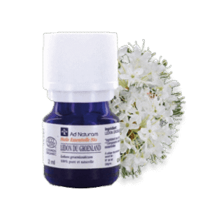 Huile essentielle de Lédon du Groenland - 5 ml - Ad Naturam - Sommeil