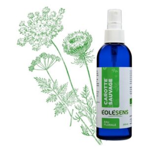 Eau florale de carotte sauvage - Flacon spray 200 ml - Eolesens