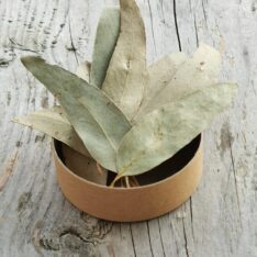 Eucalyptus - Feuilles entières bio - 50g - UnfufuZ - O.R.L.