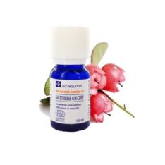 Huile essentielle de gaulthérie couchée - 10 ml - AD Naturam - Muscles et tendons