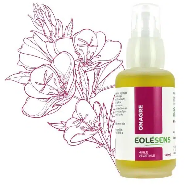 Huile végétale d'onagre - 50 ml - Eolesens - Les huiles végétales