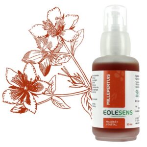 Huile végétale de millepertuis - 50 ml - Eolesens - Les huiles végétales