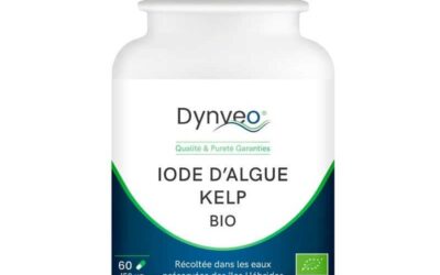 Kelp (varech) : l’iode marin naturel pour la thyroïde