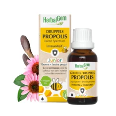 Propolis junior - Compte-goutte 15 ml - Herbalgem