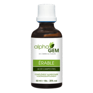 Macérât de bourgeon d'érable - 50 ml - Alphagem