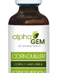 CORNOUILLER BIO - MACÉRÂT DE BOURGEONS
