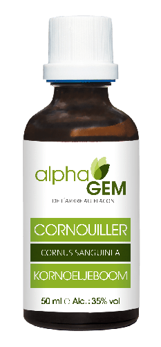 CORNOUILLER BIO - MACÉRÂT DE BOURGEONS