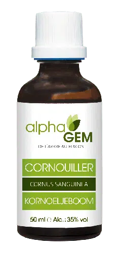 CORNOUILLER BIO - MACÉRÂT DE BOURGEONS
