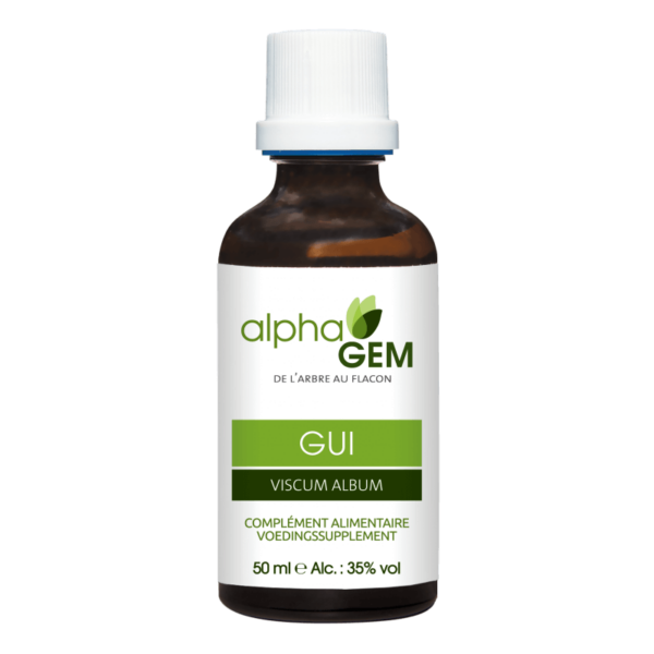 Macérât de bourgeon de gui - 50 ml - Alphagem - Les bourgeons