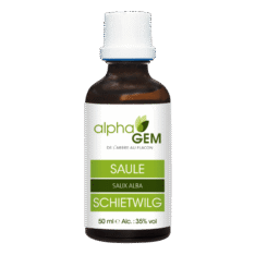Macérât de bourgeon de Saule - 50 ml - Alphagem - Les bourgeons