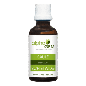 Macérât de bourgeon de Saule - 50 ml - Alphagem - Les bourgeons
