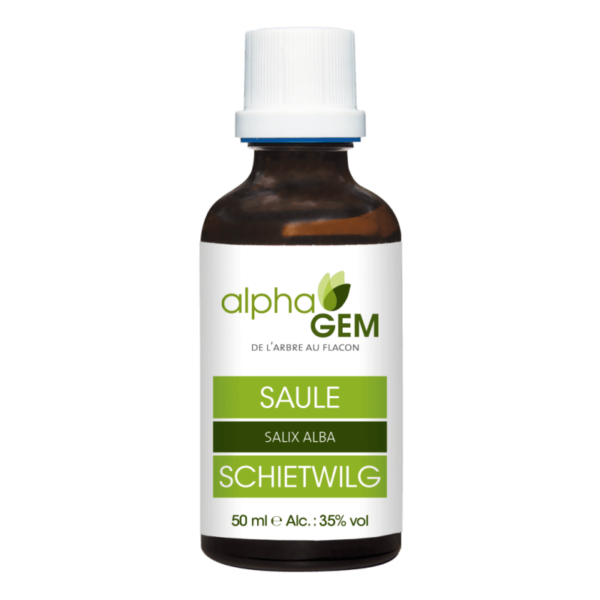 Macérât de bourgeon de Saule - 50 ml - Alphagem - Les bourgeons