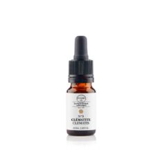 Fleur de Bach - N°9 Clematis- Clématite - 20ml - Elixir and co