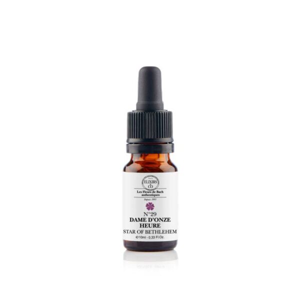 Fleur de Bach - N°29 Star of bethlehem - Etoile de Bethléem - 20ml - Elixir and co